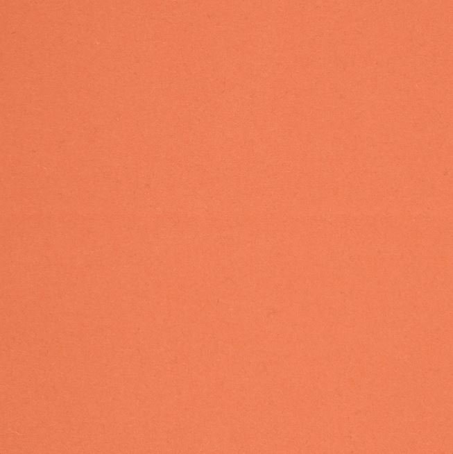 BIMORE salmon 119035